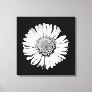 Toile Black White Daisy Floral Art Photographie botaniqu