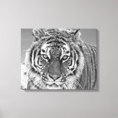 Toile Black White Tiger hiver photo Snow Mountain (Recto)