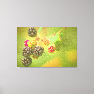 Toile "Blackberries Fruit Plante" Photo mignonne. Comman
