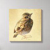 Toile Blackbird Fledgling in Sun (Recto)