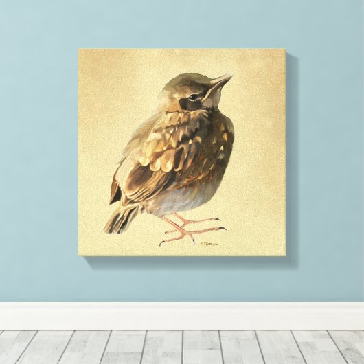 Toile Blackbird Fledgling in Sun (Insitu (Plancher de Bois))