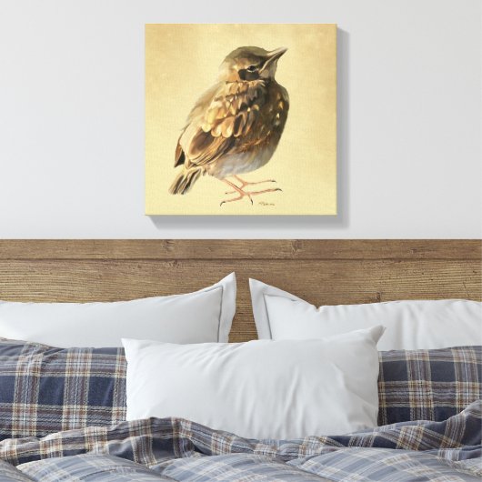 Toile Blackbird Fledgling in Sun (Insitu(Chambre))