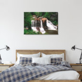 Toile Blackwater Falls, Virginie-Occidentale, pittoresqu (Insitu(Chambre))