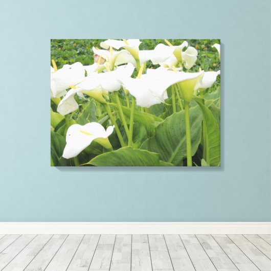 Toile Blanc Calla Lily (Insitu (Plancher de Bois))