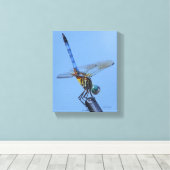 Toile Bleu Dasher Dragonfly dans "Obelisk Posture" (Insitu (Plancher de Bois))
