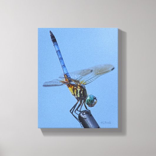 Toile Bleu Dasher Dragonfly dans "Obelisk Posture" (Recto)