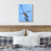 Toile Bleu Dasher Dragonfly dans "Obelisk Posture" (Insitu(Chambre))