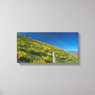 Toile Bloom du printemps de Balsamroot