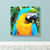 Toile Blue and Yellow Macaw Parrot (Insitu (Plancher de Bois))