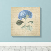 Toile Blue Hydrangea sur la calligraphie Vintage (Insitu (Plancher de Bois))
