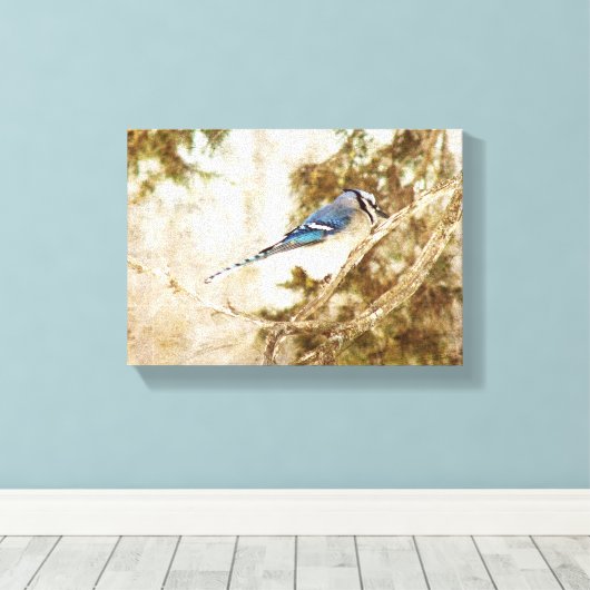 Toile Blue Jay (Insitu (Plancher de Bois))