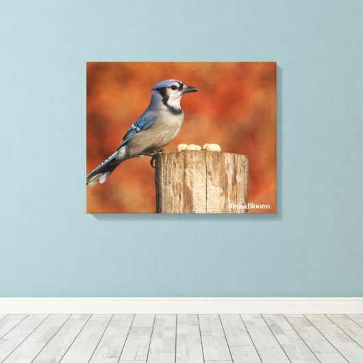 Toile Blue Jay (Insitu (Plancher de Bois))