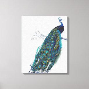 Toile Blue Peacock with beautiful tail feathers