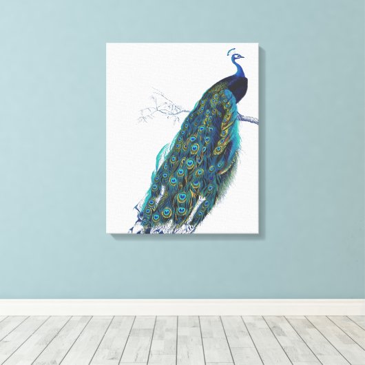 Toile Blue Peacock with beautiful tail feathers (Insitu (Plancher de Bois))