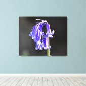 Toile Bluebells (Insitu (Plancher de Bois))