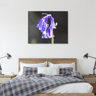 Toile Bluebells