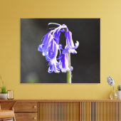 Toile Bluebells (Insitu(Salon))