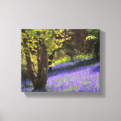 Toile Bluebells (Recto)