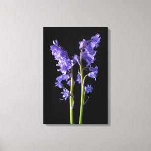 Toile Bluebells, De la forêt même que j'ai créé!