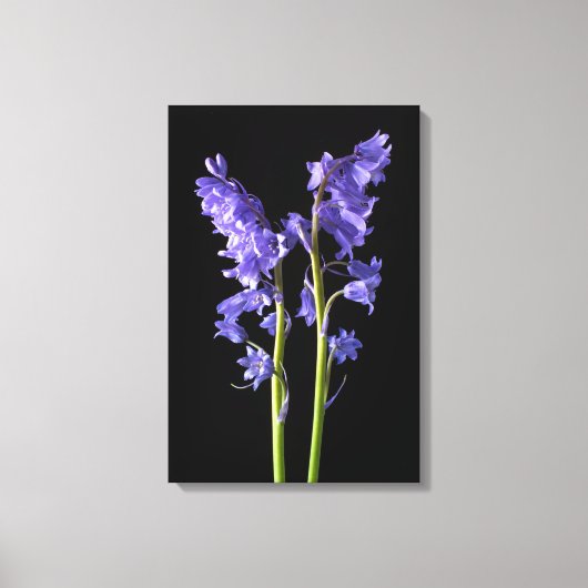 Toile Bluebells, De la forêt même que j'ai créé! (Recto)