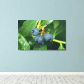 Toile Blueberges (Insitu (Plancher de Bois))