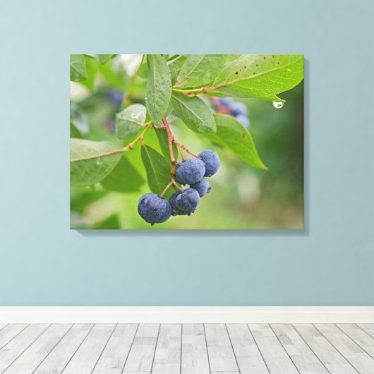 Toile Blueberry Crop (Insitu (Plancher de Bois))