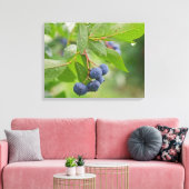 Toile Blueberry Crop (Insitu(Salon))