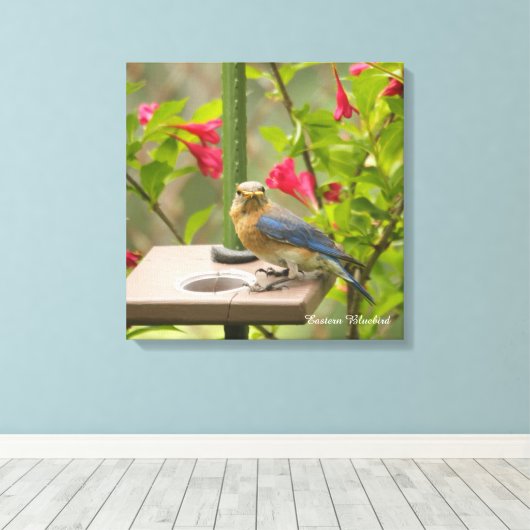 Toile Bluebird (Insitu (Plancher de Bois))