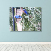 Toile Bluebirds d'hiver (Insitu (Plancher de Bois))