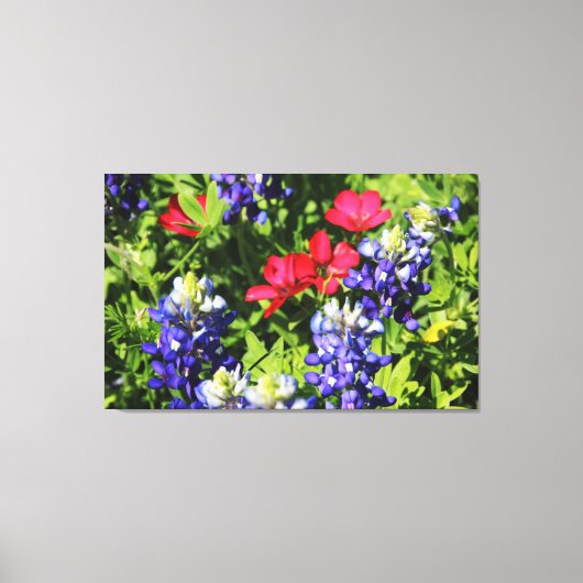 Toile Bluebonnets (Recto)