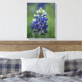 Toile Bluebonnets du Texas (Insitu(Chambre))
