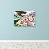 Toile Boa constrictor reptile (Insitu (Plancher de Bois))