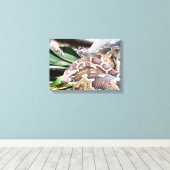 Toile Boa constrictor reptile (Insitu (Plancher de Bois))