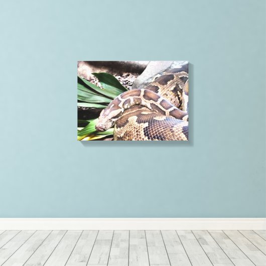 Toile Boa constrictor reptile (Insitu (Plancher de Bois))