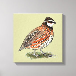 Toile Bobwhite Quail