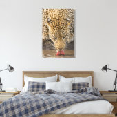 Toile Boire du léopard, Parc national du Grand Kruger, (Insitu(Chambre))