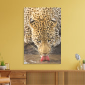 Toile Boire du léopard, Parc national du Grand Kruger, (Insitu(Salon))