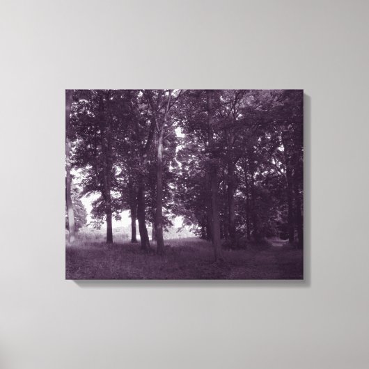 Toile Bois, Bute Park Cardiff - BW violet (Recto)
