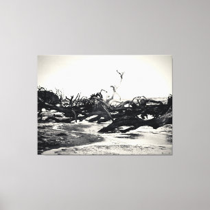 Toile Bois flotté sur une plage désolée