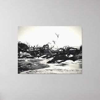 Toile Bois flotté sur une plage désolée