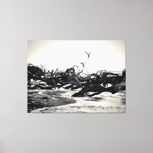 Toile Bois flotté sur une plage désolée (Recto)