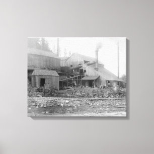Toile Bois mort et photographie de fondeur du Delaware