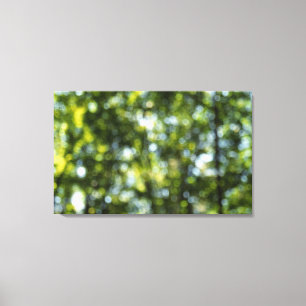 Toile Bokeh au printemps