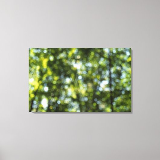 Toile Bokeh au printemps (Recto)