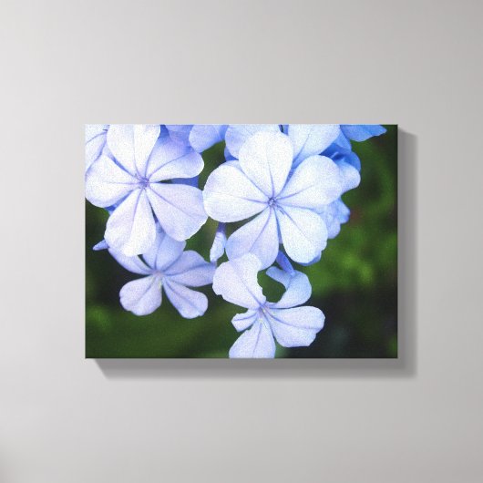 Toile Bokeh Floral Bleu (Recto)