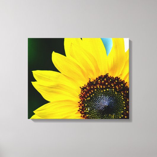 Toile Bonjour Sunshine Sunflower (Recto)
