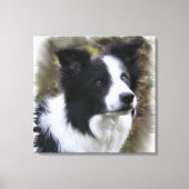 Toile Border collie art (Recto)