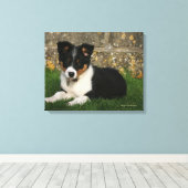 Toile Bordure Collie Chiot avec feuille dans la bouche (Insitu (Plancher de Bois))