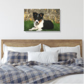 Toile Bordure Collie Chiot avec feuille dans la bouche (Insitu(Chambre))