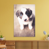 Toile Bordure Collie Chiot Avec Les Yeux Bleus (Insitu(Salon))